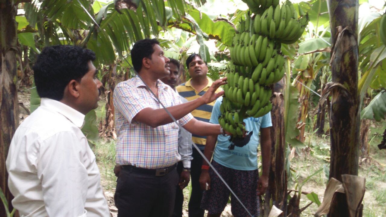 Farm Visit