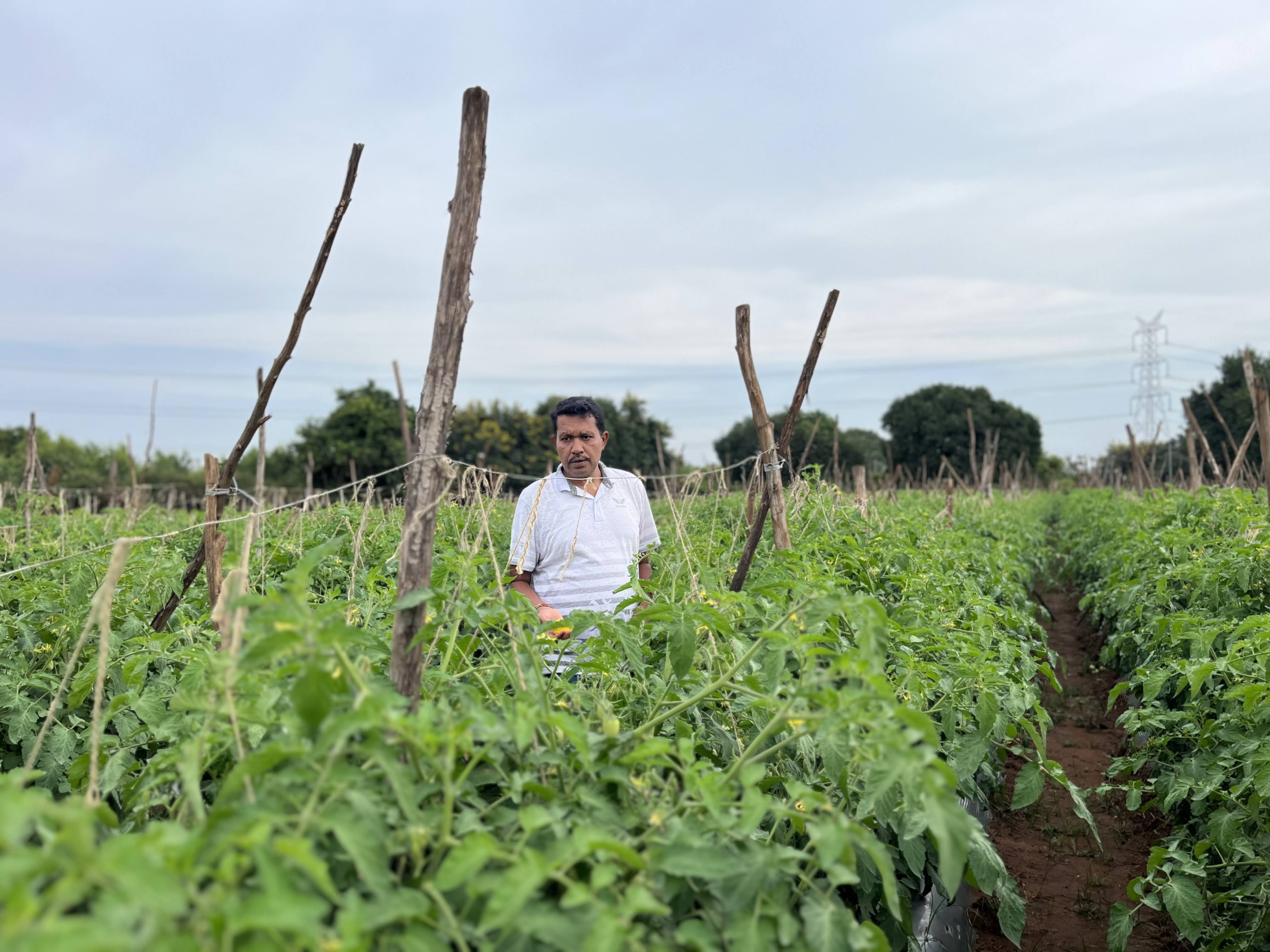 Farm Visit