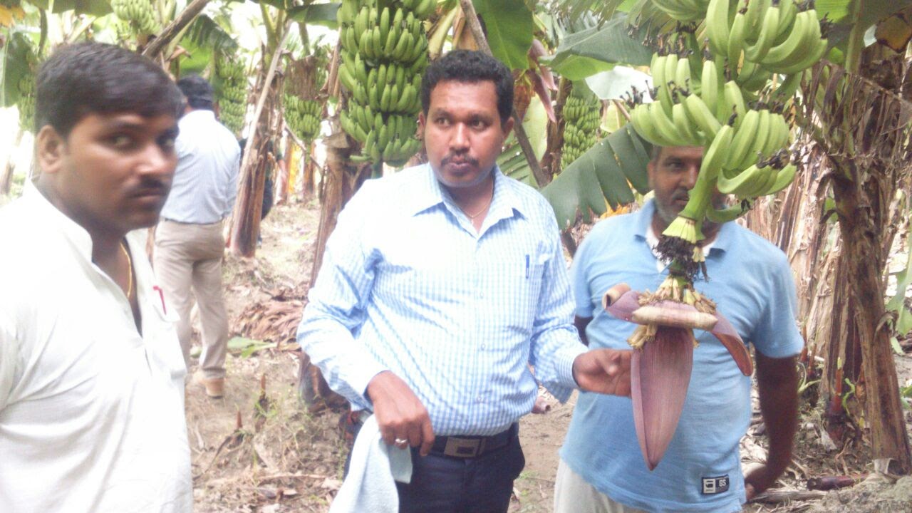 Farm Visit